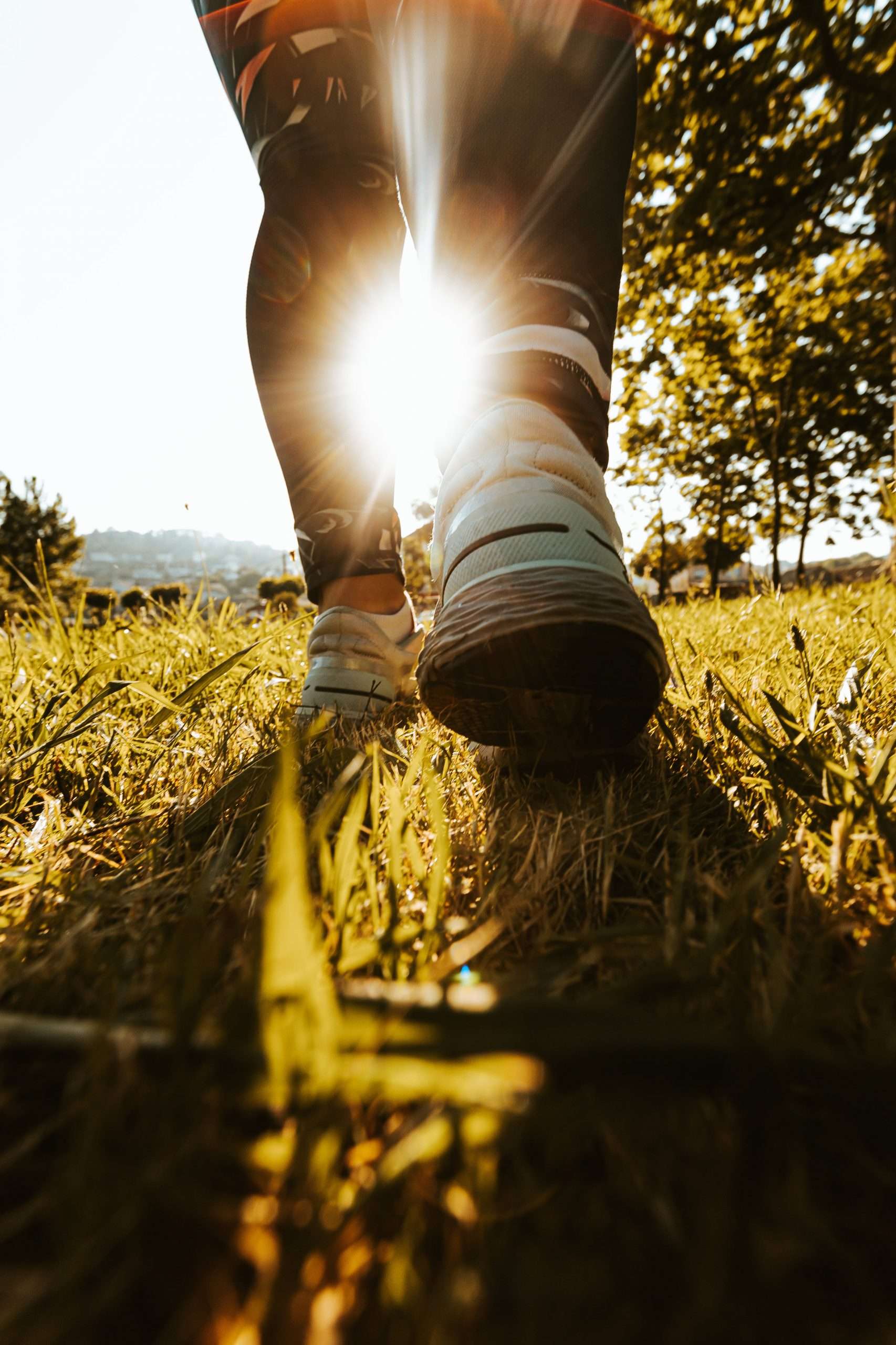 Top 10 Benefits of Triathlon Training Team Enduro